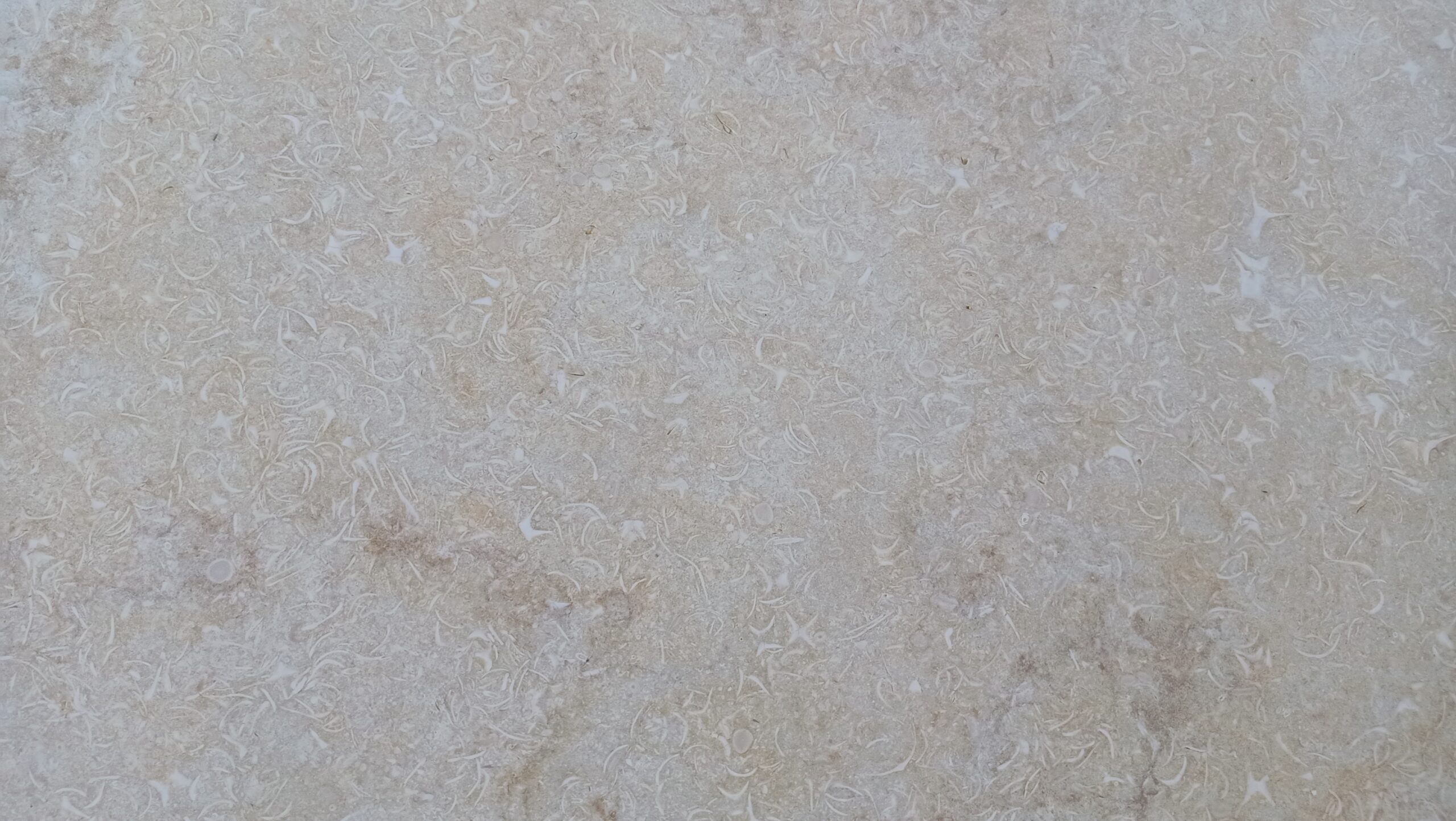 Sunny Beige Polished