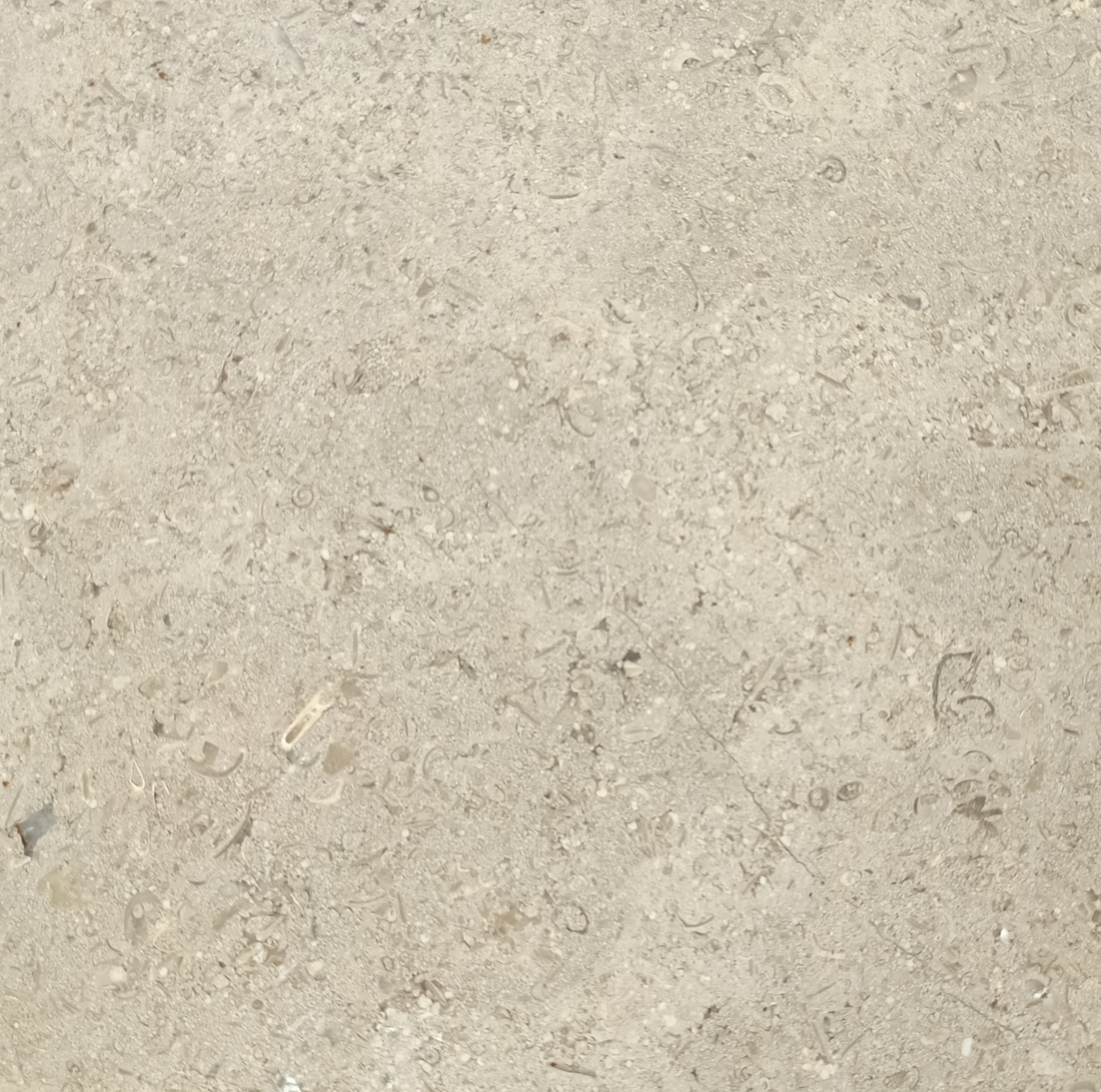 Sinai Pearl Polished